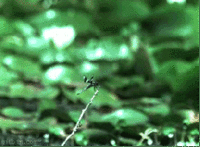 Filename Threads
