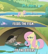 My Little Pony: Friendship is Magic