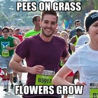 Ridiculously Photogenic Guy / Zeddie Little