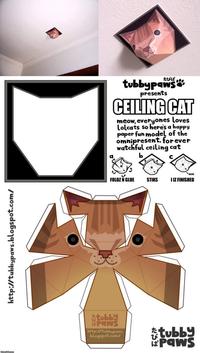 Ceiling Cat