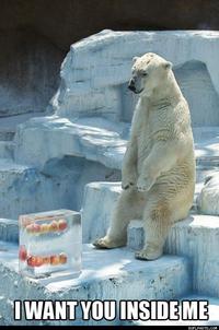 Apples Bear
