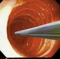 e88.jpg