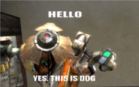 Yes, This is Dog