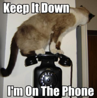 LOLcats