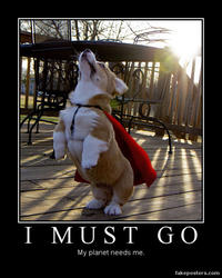 I Must Go