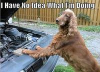 I Have No Idea What I'm Doing