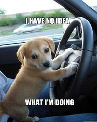 I Have No Idea What I'm Doing