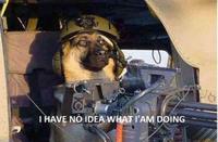 I Have No Idea What I'm Doing
