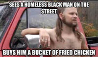 Almost Politically Correct Redneck