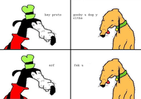 Dolan