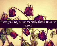 Somebody That I Used To Know