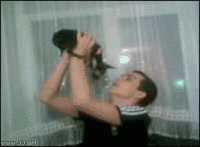 Dogs