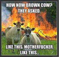 Evil Cows