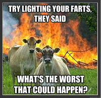 Evil Cows
