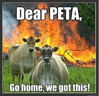 Evil Cows