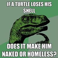 Philosoraptor