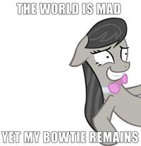 Pony Reactions