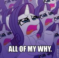 Pony Reactions
