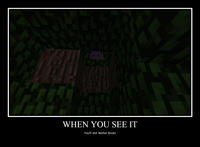 When You See it...