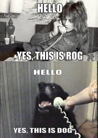 Yes, This is Dog