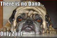 There is No Dana, Only Zuul