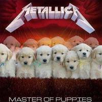 Dogs