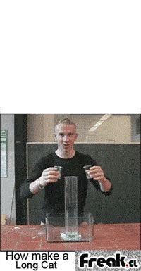 Longcat