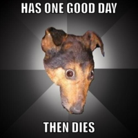 Depression Dog