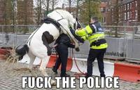 Fuck the Police