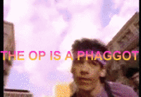 OP is a Faggot