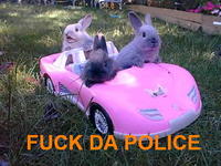 Fuck the Police