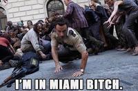 Miami Zombie