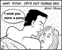 What 4chan Cries Out During Sex