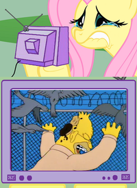 My Little Pony: Friendship is Magic