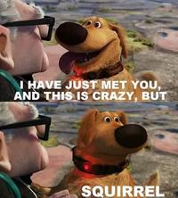 Call Me Maybe