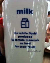 Captain Obvious