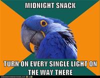 Paranoid Parrot