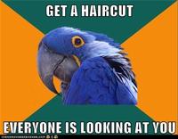 Paranoid Parrot