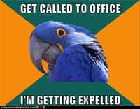 Paranoid Parrot