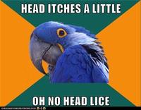 Paranoid Parrot