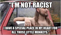 Almost Politically Correct Redneck