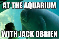 Overlord Manatee