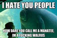 Overlord Manatee