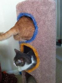 Thinking With Portals