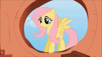 Pony Reactions