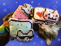 Nyan Cat / Pop Tart Cat