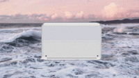 iPhone Whale