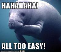 Overlord Manatee