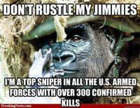 That Really Rustled My Jimmies