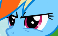 Pony Reactions